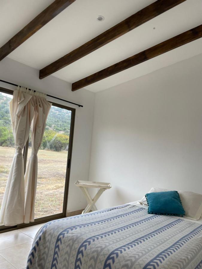 Casa Boldos *